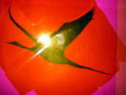 �u�c���v